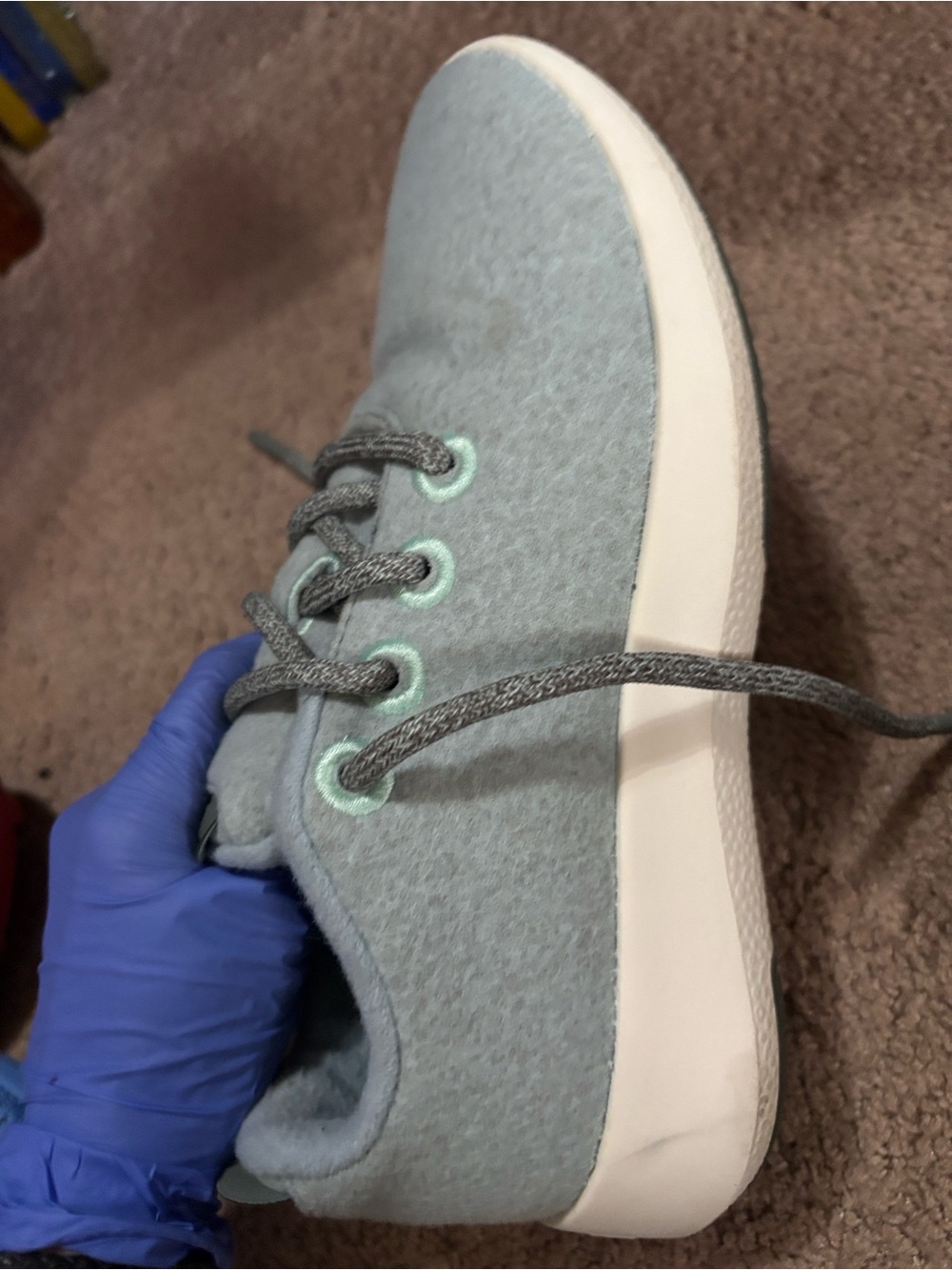 allbirds Pale Gray Wool Sneaker with Mint Eyelets